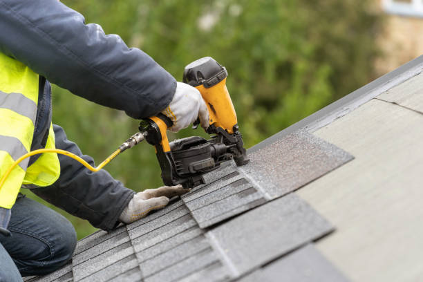 Best Chimney Flashing Repair  in Parker, FL