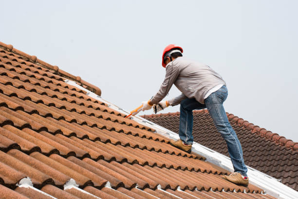 Best Roof Insulation Installation  in Parker, FL
